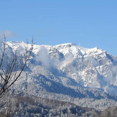 Sinaia Alpineview Residence Экстерьер фото