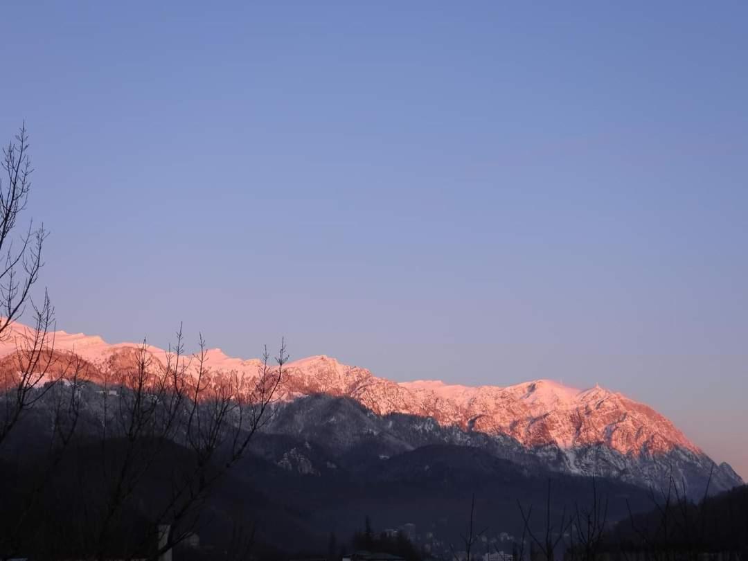 Sinaia Alpineview Residence Экстерьер фото