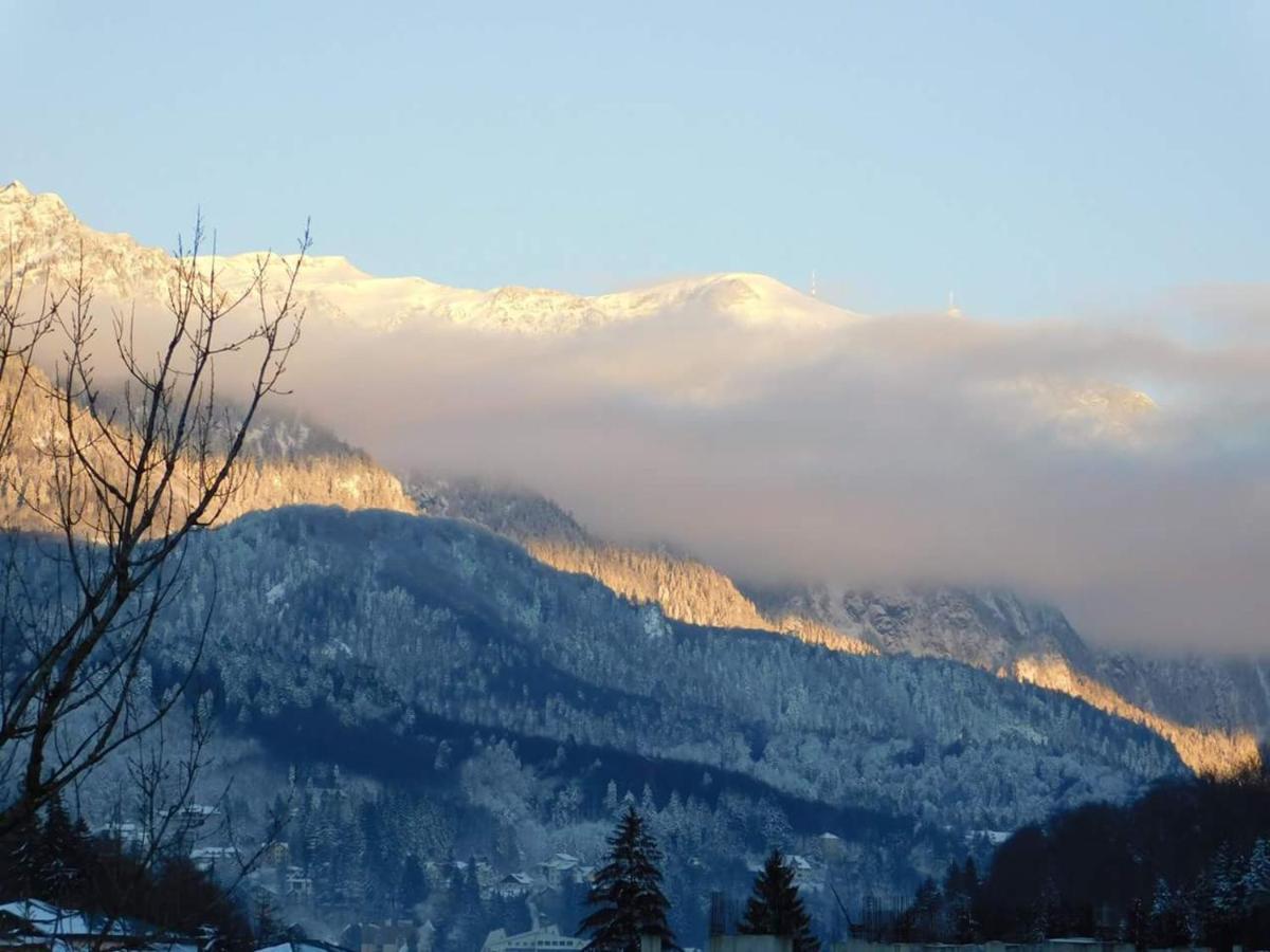 Sinaia Alpineview Residence Экстерьер фото
