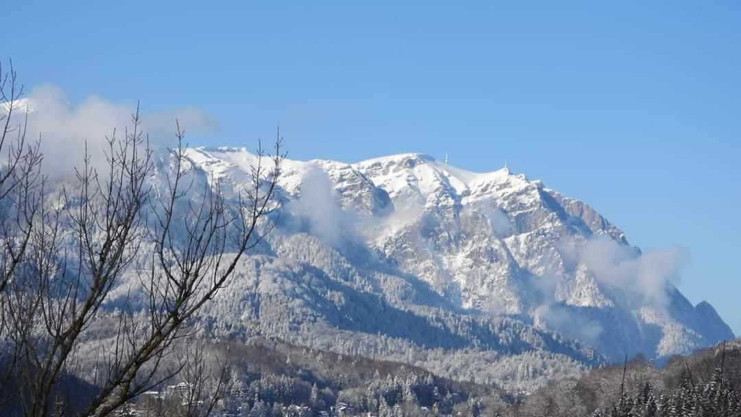 Sinaia Alpineview Residence Экстерьер фото
