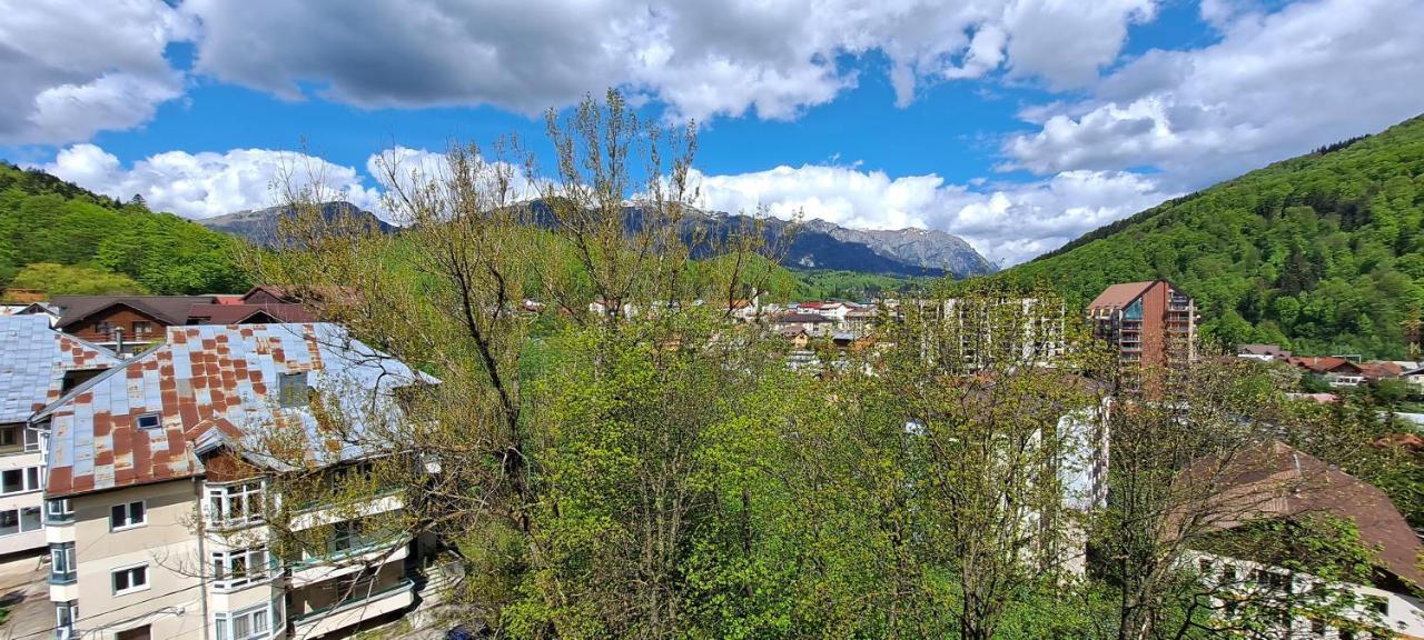 Sinaia Alpineview Residence Экстерьер фото